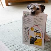 Dog owners are being asked to take part in the Dogs Trust survey