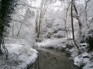 Laugherne brook, Henwick. By reader Steve Bull