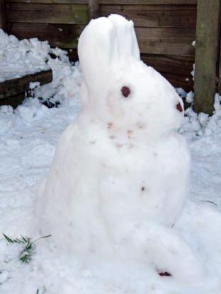 It's a snow bunny!
From Sarah Lissemore-John via Facebook (facebook.com/worcesternews)