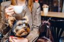 Here are six dog-friendly cafes in Worcester to visit this weekend