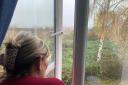 JUNGLE: Lorraine Spencer looks out of an upstairs window at the 'jungle of Woodmancote' in Warndon, Worcester