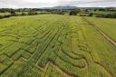 MAZE: The Worcester Maize Maze is returning for 2023. Picture from 2021.