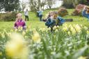 Lots of National Trust properties are running trails during the Easter holidays