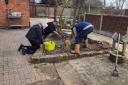 SUPPORT: Villages work on the garden of the Red Lion in Holt Heath near Worcester