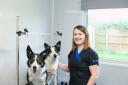 Kerry Wheeler, with her two dogs Lola and Chester, is opening a new dog grooming business in Claines, Worcester