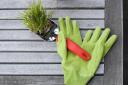 Lend a hand with Arboretum community gardening