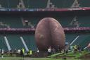Rugby Union's TMO use during World Cup's opening weekend bordered on farcical