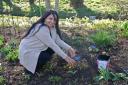 Narinder Manku plants the first 'Mum in a Million' rose at Webbs in Wychbold after being nominated by her daughter Kiran Kaur