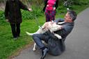 WOOF: Green Party leader Jonathan Bartley trying to contain a lively Labrador.