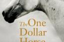 Take your bets! Read The One Dollar Horse ready for the race of the year