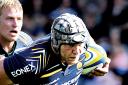 ROAD TO RECOVERY: Lock James Percival is nearing full fitness for Worcester Warriors.