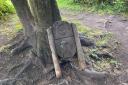 Name and shame 'mindless' Gheluvelt Park vandals