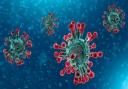 LESS DEADLY?: Coronavirus