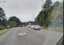 GEESE: Gleese in the road in Droitwich. Picture: Spotted Droitwich