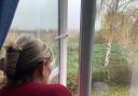 JUNGLE: Lorraine Spencer looks out of an upstairs window at the 'jungle of Woodmancote' in Warndon, Worcester