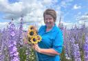 Lisa Bowen St Richard's Hospice is pictured with some of the charity's sunflowers.