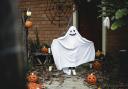 POLICE: Police have issued advice for trick or treaters this Halloween.