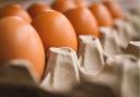The eggs and wine diet scored 50 per cent in the survey