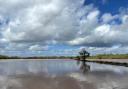 FLOODING: A field near Bransford, near Worcester pictured on Good Friday