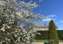 Where in Worcestershire are the best places to see the blossom on the trees in the spring time?