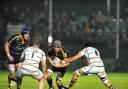ATTEMPTED BREAK: James Percival, watched by Worcester Warriors team-mate Chris Jones, looks to burrow between Wasps’ Tim Payne and John Hart during Friday night’s home defeat at Sixways.