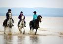 SEA HORSES: The annual beach ride has become a popular feature of the Croome Pony Club calendar.