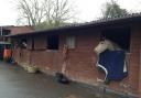 HOME FROM HOME: The Horses Welcome scheme means that you can relax at places such as the four star-rated Garden House, below, after a day out riding, while there is comfortable stabling for your animal.