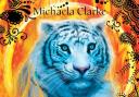 Tiger Thief by Michaela Clarke