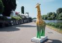 One of the Worcester Stands Tall giraffes