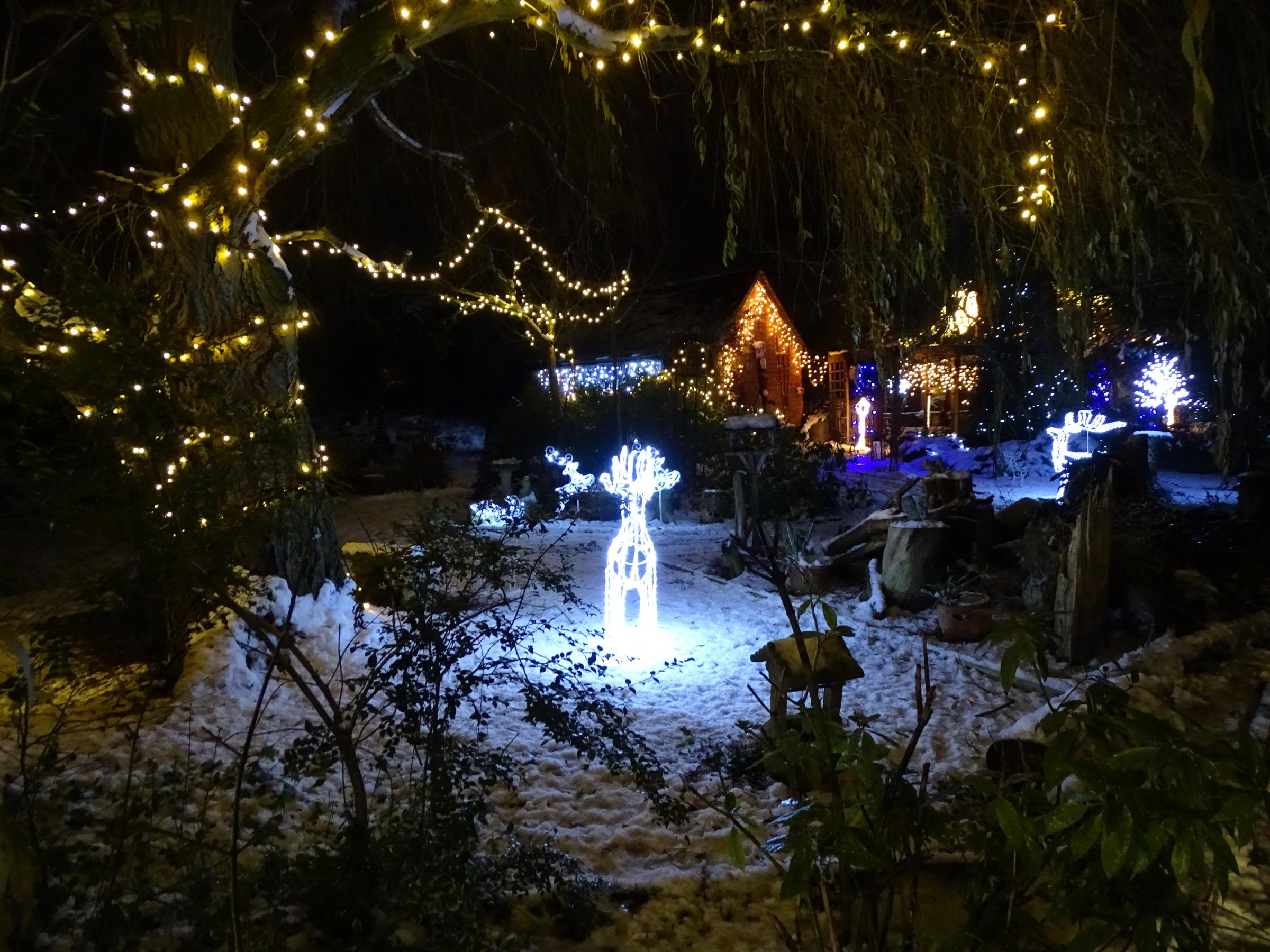 Some individual houses illuminate their gardens with festive colours and flood the lanes with light