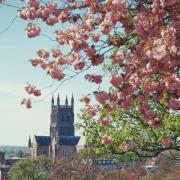 Worcester Cathedral is holding a series of recitals this autumn. Picture by John Phillpott.