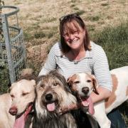 PLAN: Ann Pursey from Amicii Dog Rescue