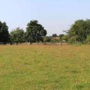 GREEN: The fields in Callow End where the homes would be built