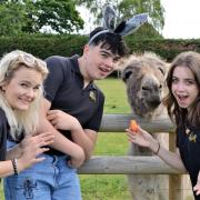 Ethan Coombs (Donkey), Charlotte Hasnip (Pinocchio) and Olivia Lee (Teen Fiona)
