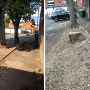 CHANGE: Before and after shows the loss of the trees in Potters Close, near Saddlers Walk in Worcester