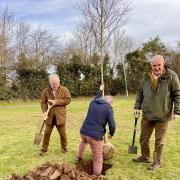 GREENER: The trees are planted in Warndon, Worcester