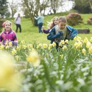Croome, The Firs, Greyfriars, and Hanbury Hall will be running trails during the Easter holidays