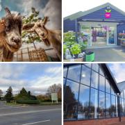 MUST VISIT: Garden centres to go to around Worcester
