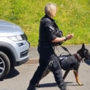 Live updates as officers with police dogs in quiet city close