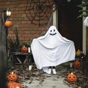 POLICE: Police have issued advice for trick or treaters this Halloween.