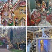 WEBBS: The Christmas display at Webbs