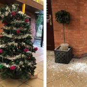 Vandals broke a Christmas tree and made a mess outside St John's Post Office