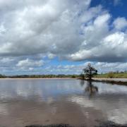 FLOODING: A field near Bransford, near Worcester pictured on Good Friday