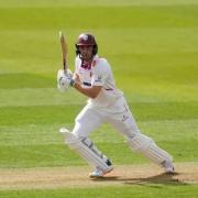 Tom Lammonby's half-century saw Somerset draw with Worcestershire at Kidderminster