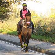 PUTTING SAFETY FIRST: The British Horse Society has launched a leaflet – Horse Rider Safety – to try to reduce the number of accidents on roads.