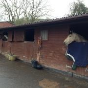 HOME FROM HOME: The Horses Welcome scheme means that you can relax at places such as the four star-rated Garden House, below, after a day out riding, while there is comfortable stabling for your animal.