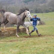 UNITING HORSE AND OWNER: The day, being organised at Hilltop Cross near Ledbury by Horse Agility trainer Mel Garner will give horse and owner the chance to ride over steps, banks, ditches, streams, hills and natural fences.