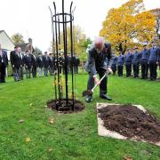 STEADY LAD: John Phillpott plants a tree to remember the fallen of the Nattle of Gheluvelt