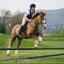 JUMP: Keira Watkins, riding Amber, takes part in the Malvern Pony Club’s rally.