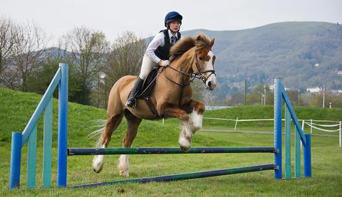 JUMP: Keira Watkins, riding Amber, takes part in the Malvern Pony Club’s rally.